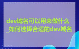 dev域名可以用来做什么_如何选择合适的dev域名