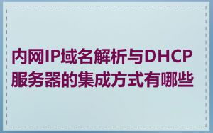 内网IP域名解析与DHCP服务器的集成方式有哪些
