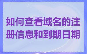 如何查看域名的注册信息和到期日期