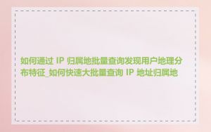 如何通过 IP 归属地批量查询发现用户地理分布特征_如何快速大批量查询 IP 地址归属地