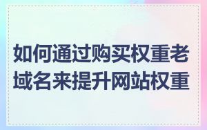 如何通过购买权重老域名来提升网站权重