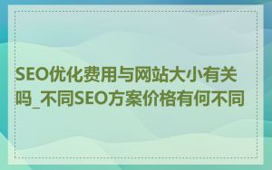 SEO优化费用与网站大小有关吗_不同SEO方案价格有何不同