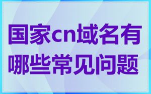 国家cn域名有哪些常见问题