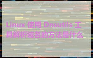 Linux 使用 Dnsutils 工具解析域名的方法是什么