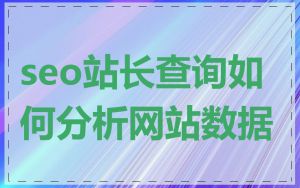 seo站长查询如何分析网站数据