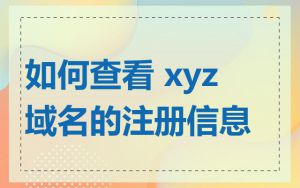 如何查看 xyz 域名的注册信息