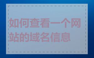如何查看一个网站的域名信息