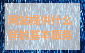 网站提供什么样的基本服务