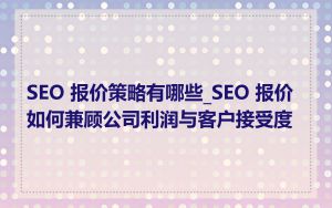 SEO 报价策略有哪些_SEO 报价如何兼顾公司利润与客户接受度