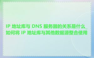 IP 地址库与 DNS 服务器的关系是什么_如何将 IP 地址库与其他数据源整合使用