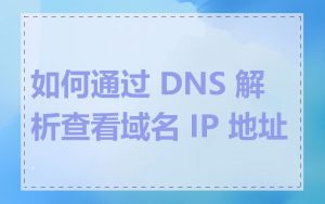 如何通过 DNS 解析查看域名 IP 地址