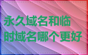 永久域名和临时域名哪个更好