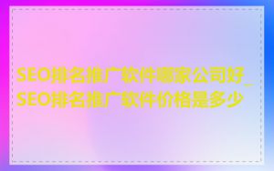 SEO排名推广软件哪家公司好_SEO排名推广软件价格是多少