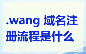 .wang 域名注册流程是什么