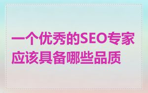 一个优秀的SEO专家应该具备哪些品质