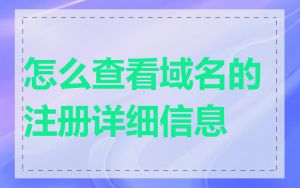 怎么查看域名的注册详细信息