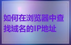如何在浏览器中查找域名的IP地址