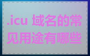 .icu 域名的常见用途有哪些