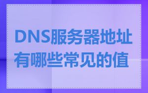 DNS服务器地址有哪些常见的值