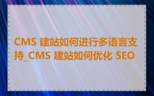 CMS 建站如何进行多语言支持_CMS 建站如何优化 SEO