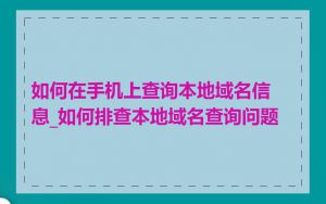 如何在手机上查询本地域名信息_如何排查本地域名查询问题
