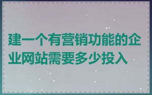 建一个有营销功能的企业网站需要多少投入
