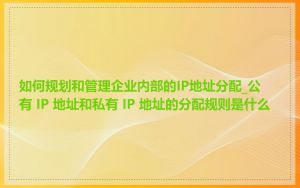 如何规划和管理企业内部的IP地址分配_公有 IP 地址和私有 IP 地址的分配规则是什么