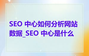SEO 中心如何分析网站数据_SEO 中心是什么