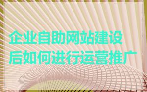 企业自助网站建设后如何进行运营推广