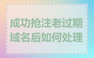 成功抢注老过期域名后如何处理