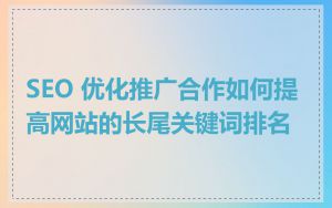 SEO 优化推广合作如何提高网站的长尾关键词排名