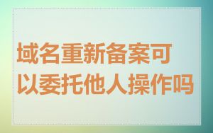 域名重新备案可以委托他人操作吗