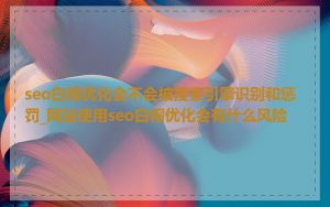 seo白帽优化会不会被搜索引擎识别和惩罚_网站使用seo白帽优化会有什么风险