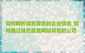 如何解析域名背后的企业信息_如何通过域名追查网站背后的公司