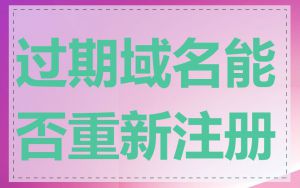 过期域名能否重新注册