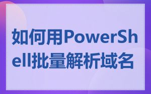 如何用PowerShell批量解析域名
