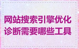 网站搜索引擎优化诊断需要哪些工具