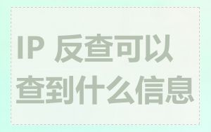 IP 反查可以查到什么信息