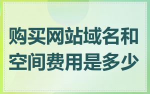 购买网站域名和空间费用是多少