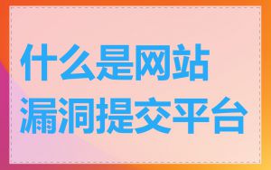 什么是网站漏洞提交平台