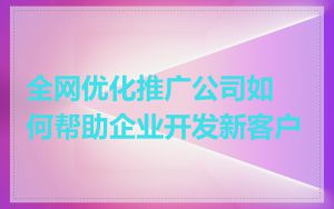 全网优化推广公司如何帮助企业开发新客户