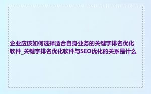 企业应该如何选择适合自身业务的关键字排名优化软件_关键字排名优化软件与SEO优化的关系是什么