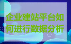 企业建站平台如何进行数据分析