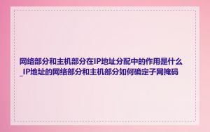 网络部分和主机部分在IP地址分配中的作用是什么_IP地址的网络部分和主机部分如何确定子网掩码
