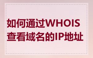 如何通过WHOIS查看域名的IP地址