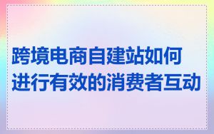 跨境电商自建站如何进行有效的消费者互动