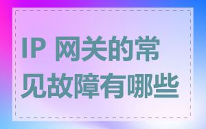 IP 网关的常见故障有哪些