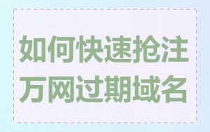 如何快速抢注万网过期域名