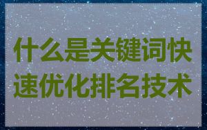 什么是关键词快速优化排名技术
