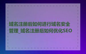 域名注册后如何进行域名安全管理_域名注册后如何优化SEO